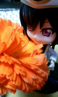 (untitled)